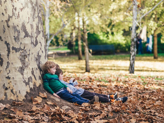 Healthy Snacking & Meal Ideas for Kids: Introducing NutriBurp!